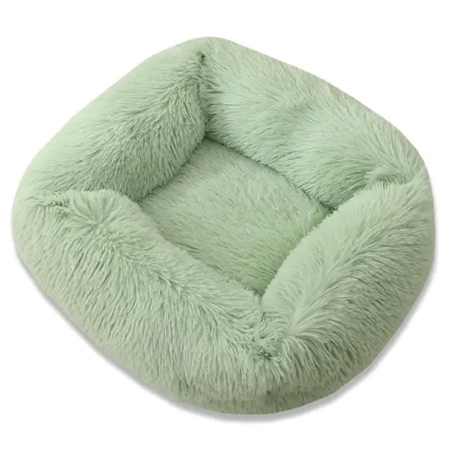 WFHrr8dqXowL4js.webp